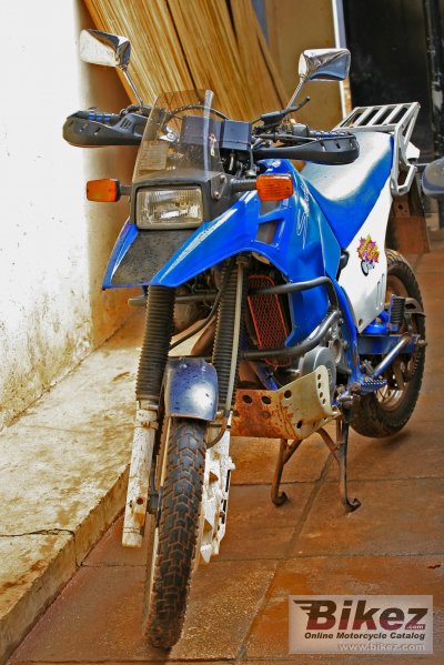 1991 Suzuki DR Big 800 S (reduced effect) photo